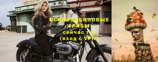 гидропоника Алексин