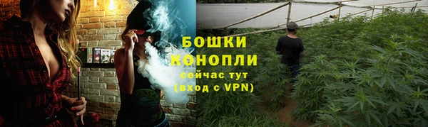 шишки Алзамай