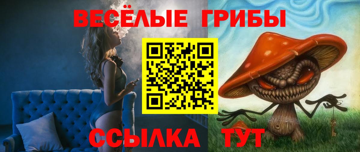 Галлюциногенные грибы GOLDEN TEACHER  Вход с VPN  Галлюциногенные грибы Cubensis  Крымск 
